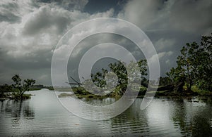 Peaceful and romantic river, swamp forest and cloudy sky