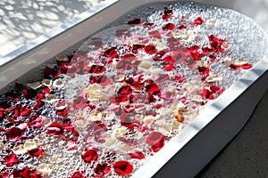 Red and white rose petals in a bathtub with foam. photo