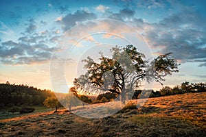 Peaceful rural scenery at sunrise