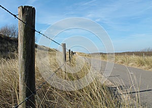 Peaceful rythm in the dunes of Holland photo