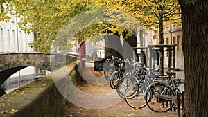 Peaceful scene of many bicycles parked sideways along the canal with colorful autumn tree in Bruges Brugge, Belgium