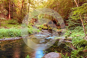 Peaceful scene of a small river or a brook