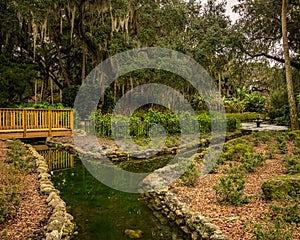 Peaceful Scenic Gardens in Washington Oaks State Park in Florida