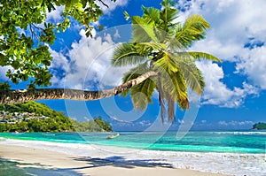 Peaceful Seychelles islands photo
