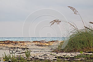 Peaceful Shoreline Scene In Cayo Coco, Cuba