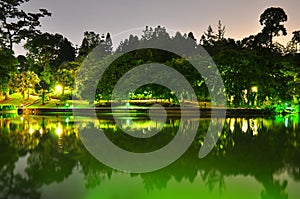 Peaceful Singapore Botanical Garden pond by night