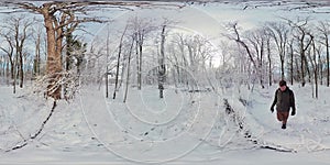 Peaceful Snowy Forest Walk in 360 Degrees