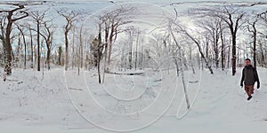 Peaceful Snowy Forest Walk in 360 Degrees