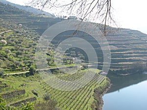 Peaceful spot in Douro Valley winelands Portugal