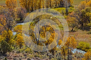 Peaceful stream flowing through the trees of colorful autumn leaves in the Uinta National Forest in Utah