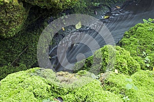 Peaceful stream flows water through lush moss texture, backgrou