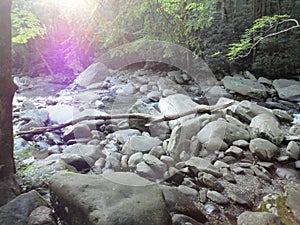 Peaceful stream running over smooth rocks