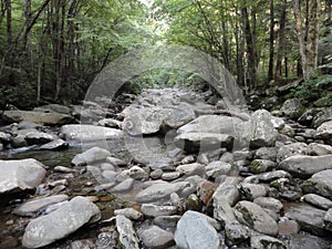 Peaceful stream running over smooth rocks