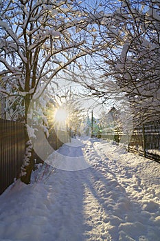 Peaceful sunny frosty winter weekend morning in suburb littered with white snow