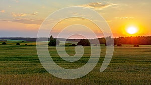 A peaceful sunset in the countryside. Cereal fields to the horizon. The rich colors of summer