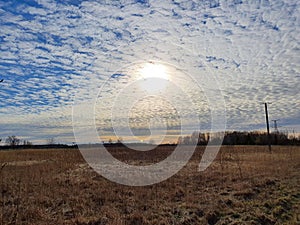 Peaceful sunset over the field in Estonia