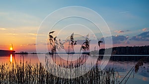 Peaceful sunset on shore of large lake in pink tones. Sun, clouds, forest on horizon