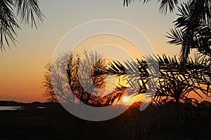 Peaceful sunset in Siwa Oasis in Egypt