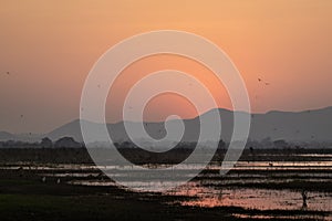 Peaceful sunset at small lake in Thailand with a mountain in the background