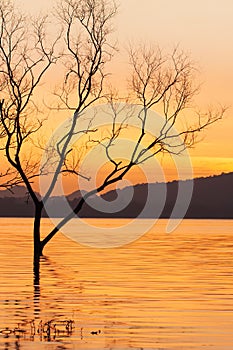 Peaceful sunset time, beautiful sunset sky, twilight reflecting in the lake, gently ripple wave. Mountain backgrounds. Fantastic