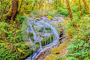 Peaceful tropical forest with small tranquil waterfall at Kiew M