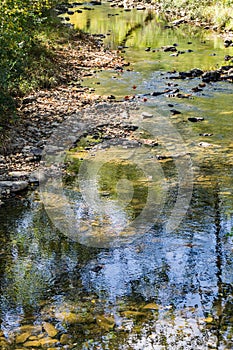 Peaceful Trout Stream