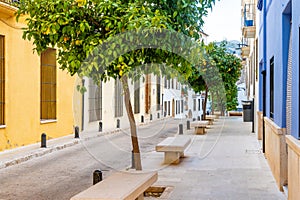 Peaceful Urban Street with Benches and Orange Trees