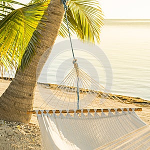 Peaceful Vacation Hammock