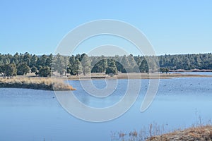 Peaceful view of Fool Hollow Lake in Show Low, Navajo County, Apache Sitgreaves National Forest, Arizona USA