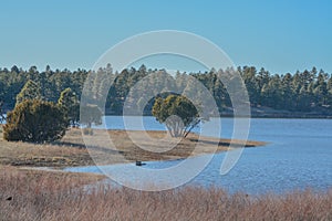 Peaceful view of Fool Hollow Lake in Show Low, Navajo County, Apache Sitgreaves National Forest, Arizona USA