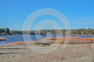 Peaceful view of Fool Hollow Lake in Show Low, Navajo County, Apache Sitgreaves National Forest, Arizona USA