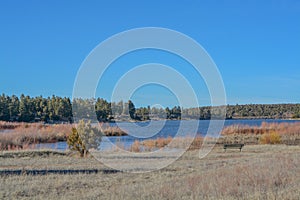 Peaceful view of Fool Hollow Lake in Show Low, Navajo County, Apache Sitgreaves National Forest, Arizona USA