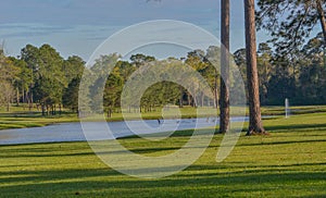 Peaceful view of the lake, green grass and trees of this Golf Course in Georgia