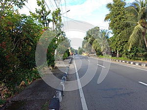 peaceful view of a road that is filled with green trees, Indonesia