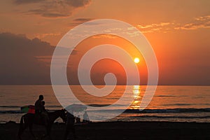 Peaceful walk along a beach. Sunny evening beach walk. The silhouettes people at the sunset background