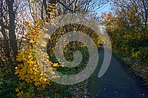 A peaceful walk through the colorful autumn landscapes of East Lothian, Scotland