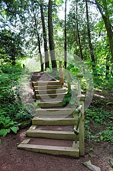 Peaceful walk through the woods, where stairs lead hikers to the hill top