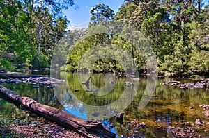 The peaceful Warren River, Australia