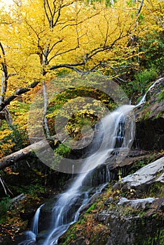 Peaceful Waterfall in Autumn