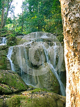 Peaceful Waterfall in Forest