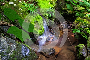 Peaceful Waterfall in the Forest