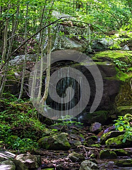Peaceful Waterfall in the Forest