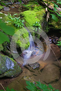 Peaceful Waterfall in the Forest