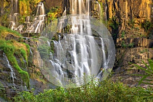 Peaceful Waterfall in The Rain Forest