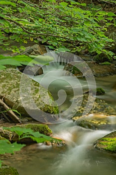 Peaceful Waterfall and Trees