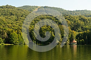 Peaceful waterside green forest and lake with natural light