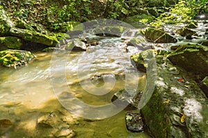 Peaceful Mountain Trout Stream