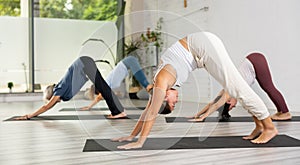 Peaceful women practicing yoga pose Downward Facing Dog or Adho Mukha Svanasana in fitness gym group class