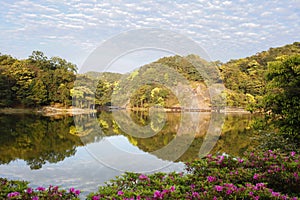 Peacefull lake arround by mountains and azalea with blue sky and white cloud background