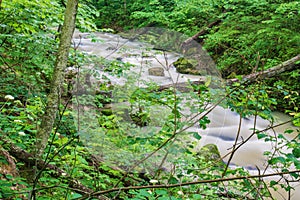 Peacefull Mountain Creek in the Jefferson National Forest